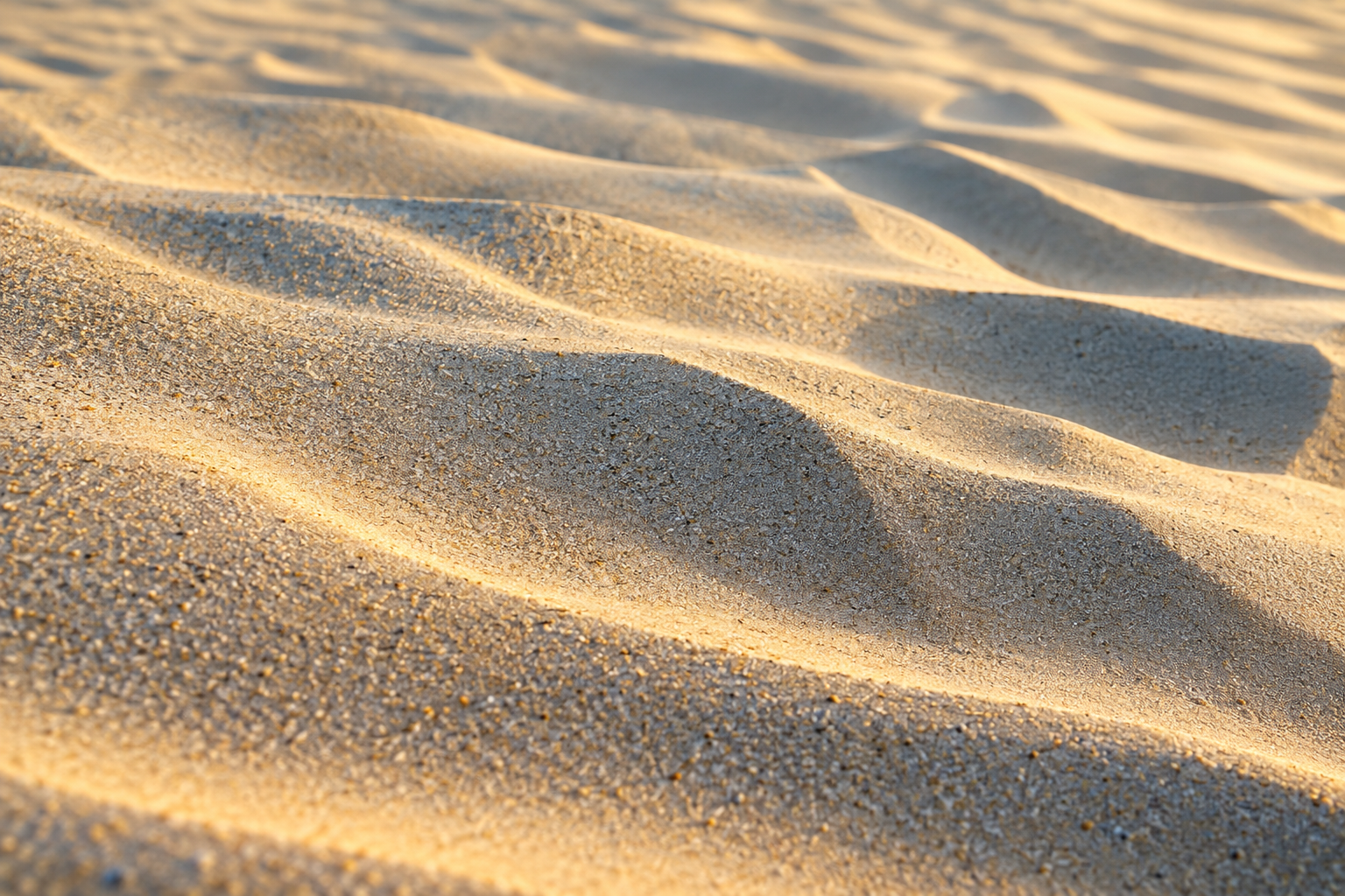 Fine ripples in warm dune sand